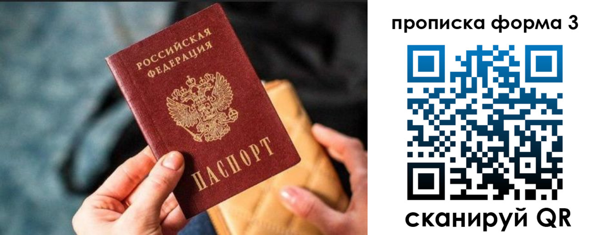 прописка гарантия в Московской области
